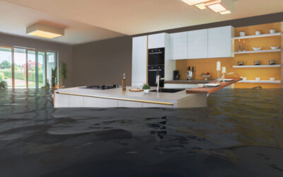 Modern Restoration Technologies in Action: How Innovation Speeds Recovery