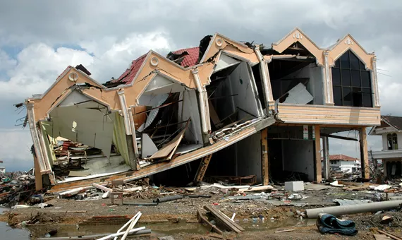 Storm Damage: First 48 Hours Response Protocol