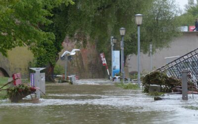 Hidden Signs of Water Damage: What Homeowners Need to Know