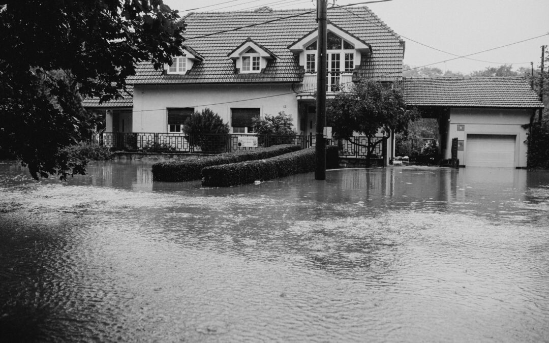 The Real Cost of Delaying Water Damage Repairs: A Homeowner’s Guide