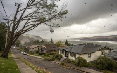 Winds of Change: How The Dalles Weathers Destructive Gorge Wind Events